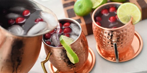 Make Cranberry Moscow Mules for a Crowd with this EASY Fall Punch Recipe!