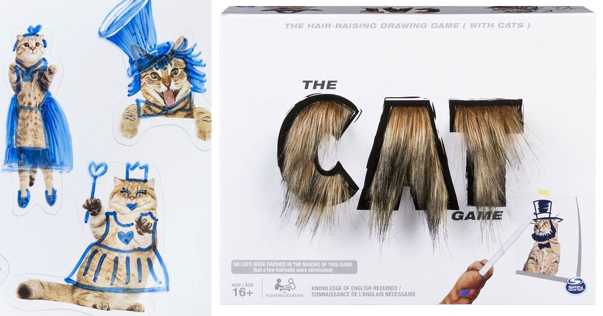 The Cat Game Drawing Game for Teens and Adults 