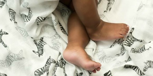 Aden by Aden + Anais Swaddle Blanket 4-Pack Only $19.99 On Zulily (Regularly $35+) & More