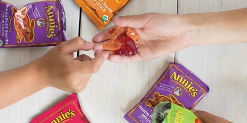 Annie’s Organic Fruit Snacks 24-Count Variety Pack Only $8.95 Shipped on Amazon (Just 37¢ Per Pouch)