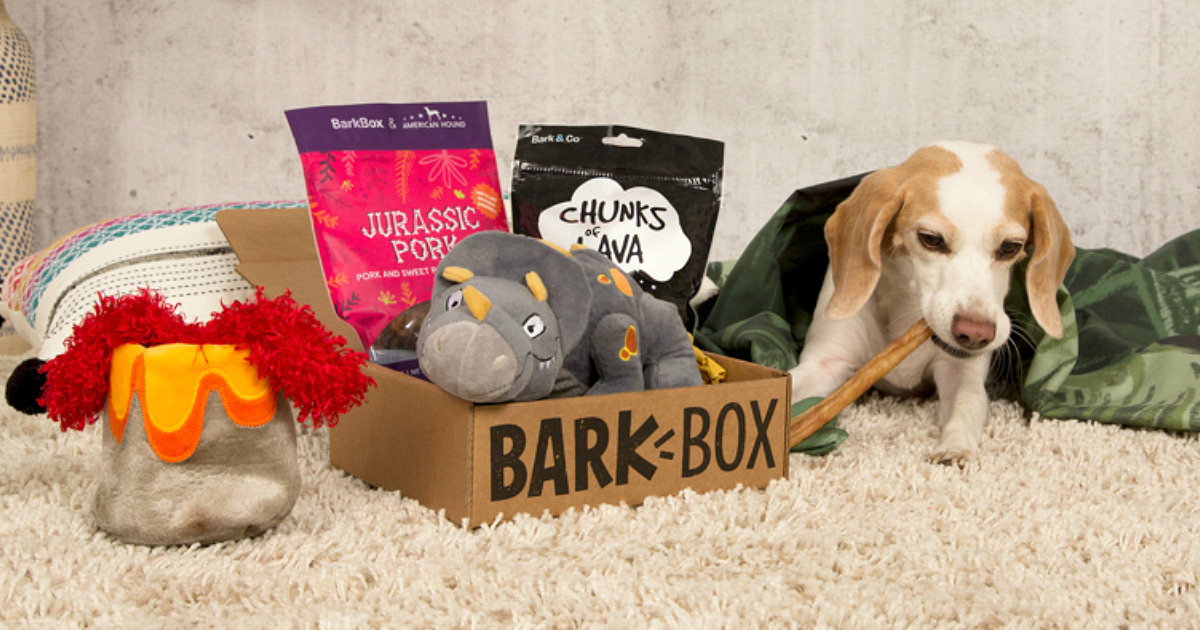 BarkBox Flash Sale – puppy playing with a chew