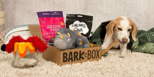 BarkBox Flash Sale: Get Your First Box for ONLY $15 Shipped