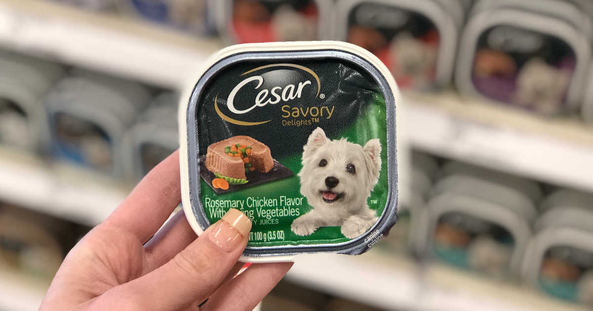 cesars wet dog food