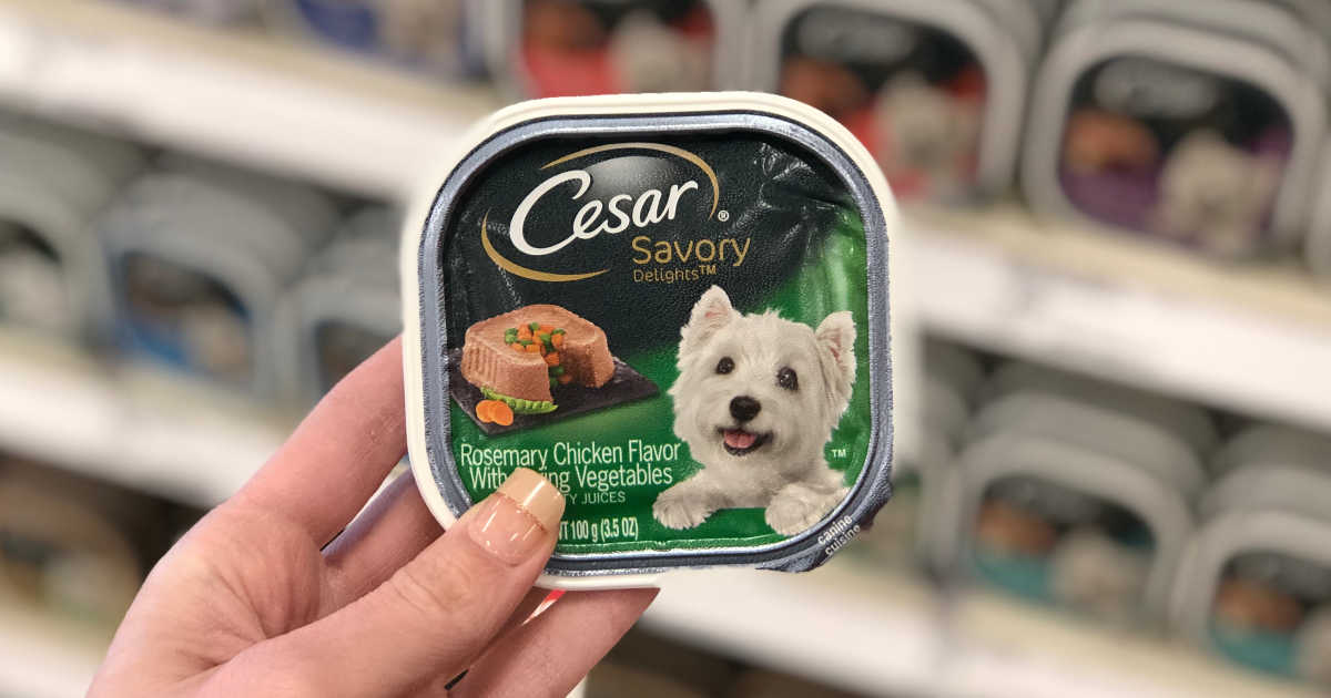 target cesar dog food