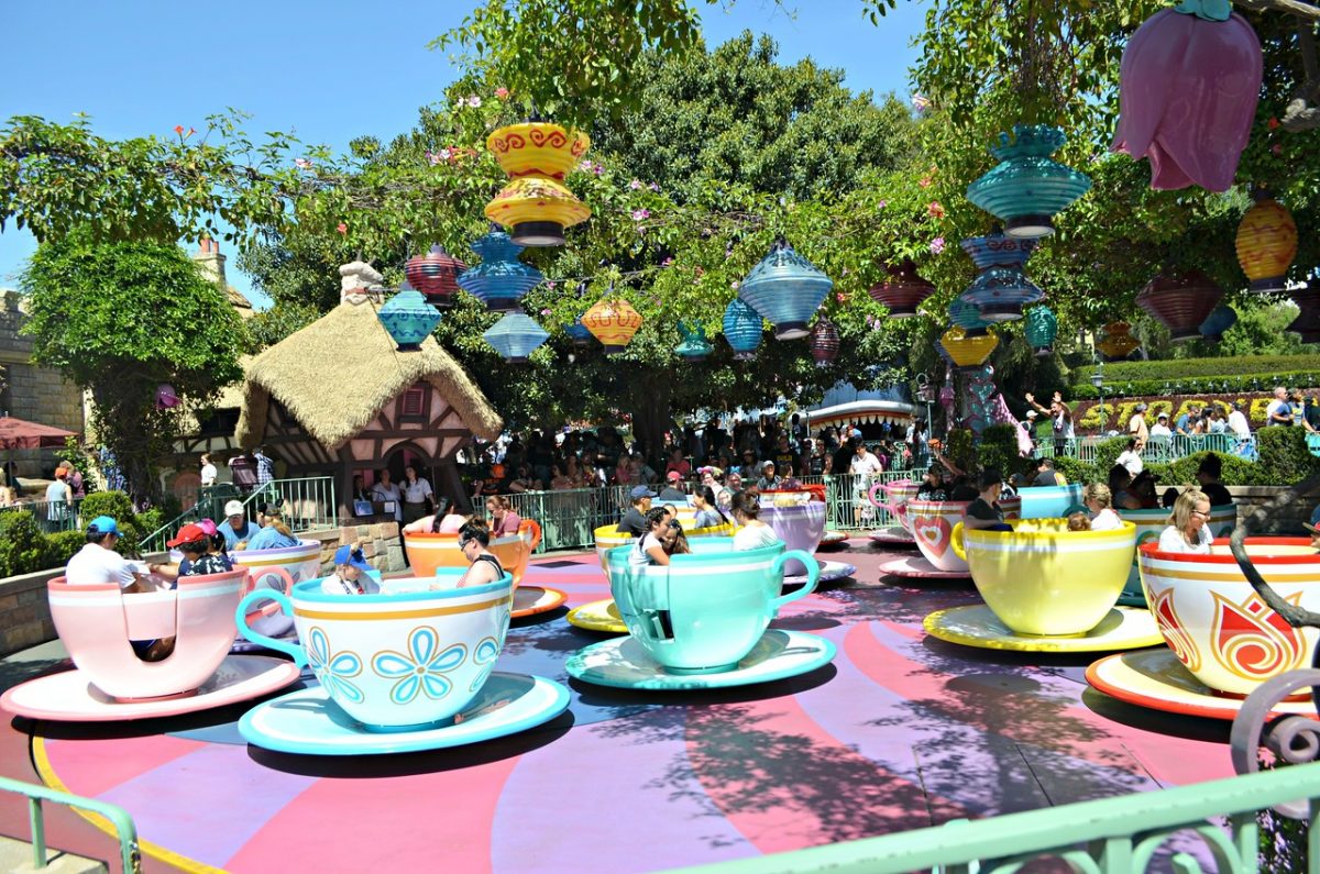 tea cup ride at the park