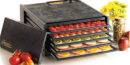 Excalibur 5-Tray Electric Food Dehydrator Only $109.99 at Woot! (Regularly $200)