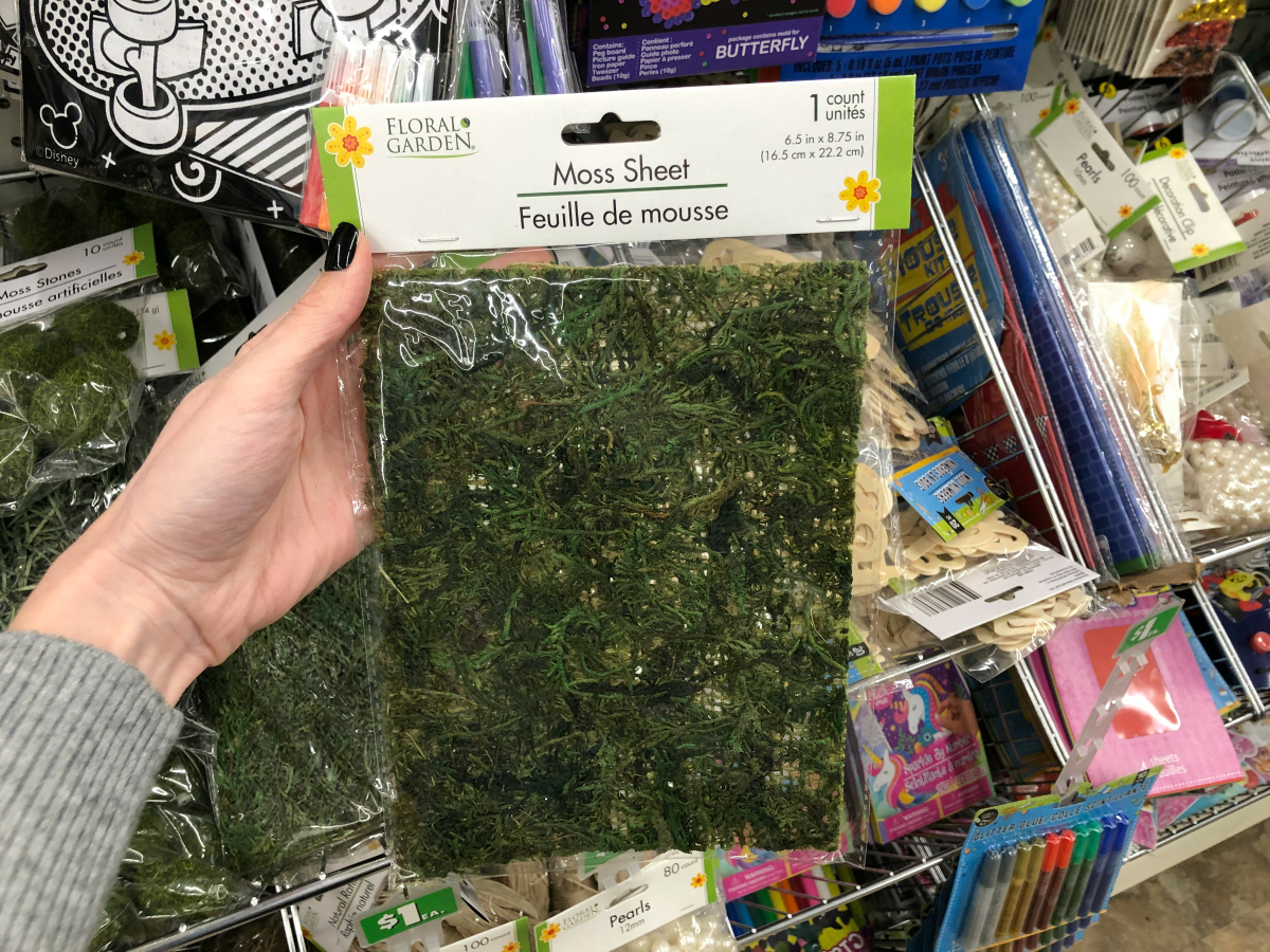Floral Moss from Dollar Tree