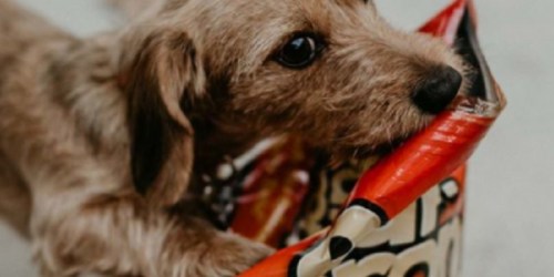Amazon: BIG Pup-Peroni Dog Snacks 25oz Bag Just $5.48 Shipped