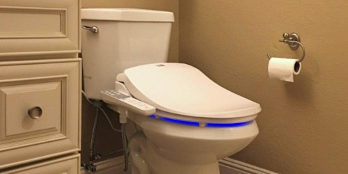 Here are the Reasons Why a Bidet Will Be Your New Best Friend!