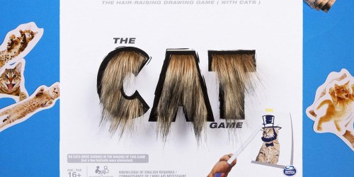 The Cat Game Just $4.96 (Regularly $20) – Ships w/ $25 Amazon Order