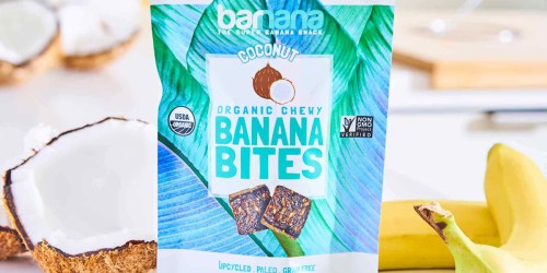 Amazon: Barnana Organic Banana Bites 3-Bag Pack Only $7.88 Shipped (Just $2.63 Each)