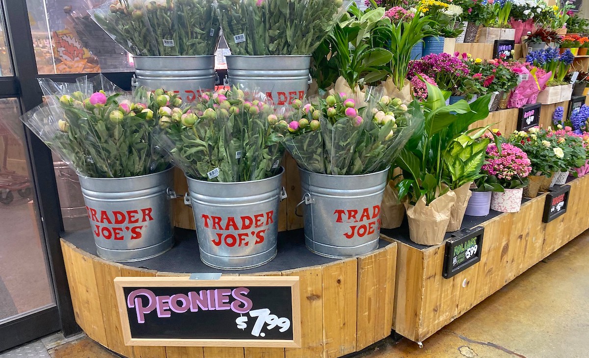peony flowers in trader joes buckets