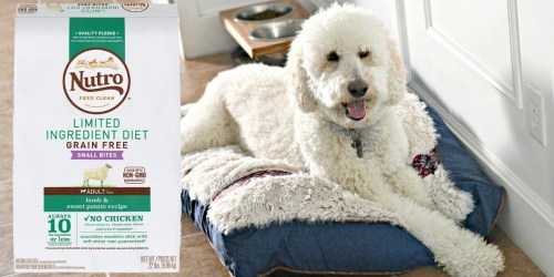 Amazon: Nutro Adult Dog Food BIG 22LB Bag Just $43 Shipped (Regularly $58) + More