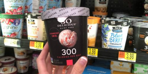 So Delicious Dairy Free Frozen Mousse Only 98¢ After Cash Back at Walmart