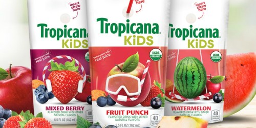 Amazon: Tropicana Kids Drink Pouches 32-Count Only $9.97 Shipped (Just 31¢ Each)
