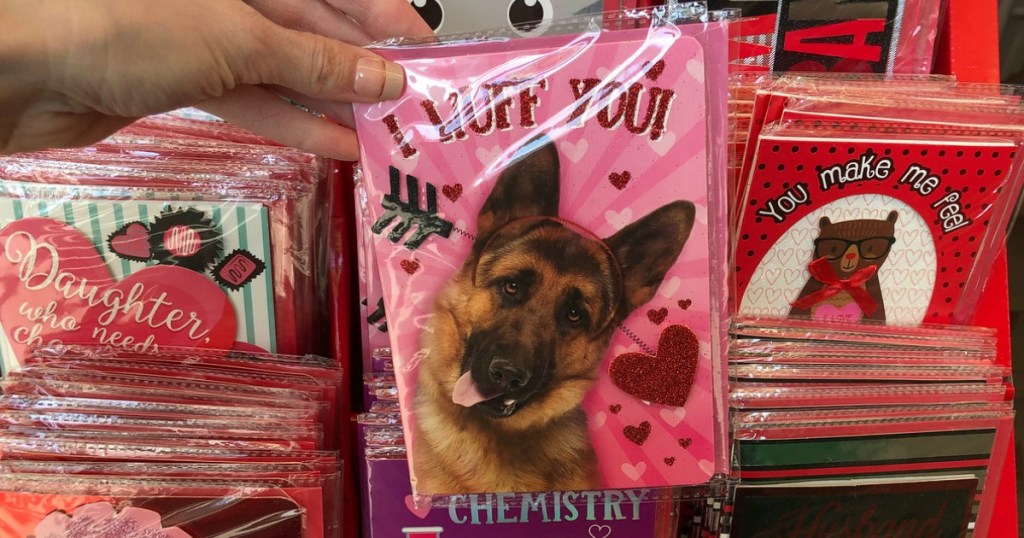 Dollar Tree Valentine's Day Finds - Only $1 Each (Greeting Cards, Party