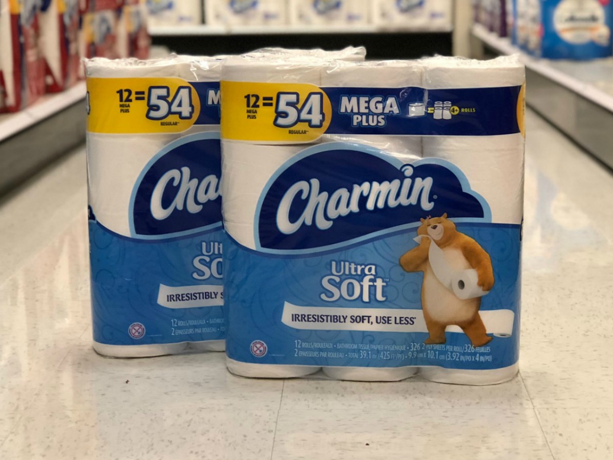 Charmin toilet store paper target