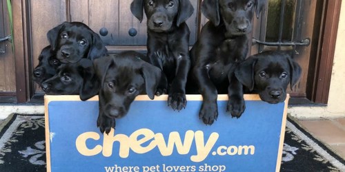 $50 Chewy eGift Card Only $45 Delivered | Pawsome Mother’s Day Gift!