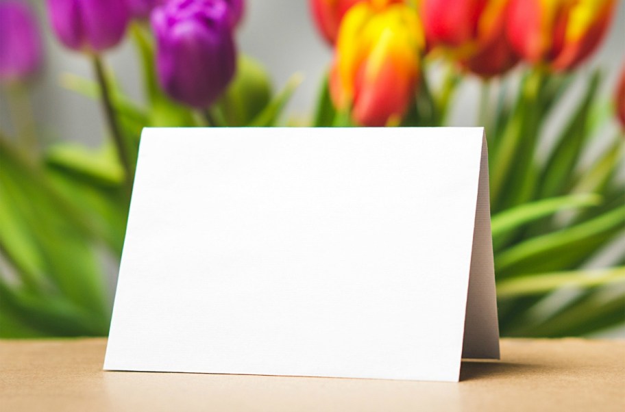 blank greeting card with flowers in background