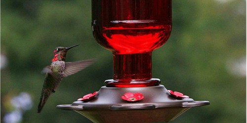 Vintage-Inspired Red Glass Hummingbird Feeder Only $8 (Regularly $20)