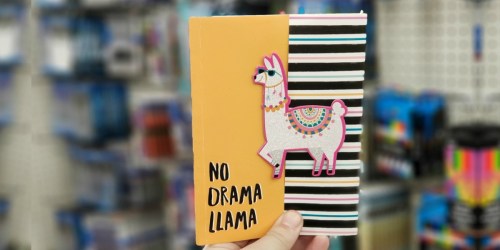 Cute Journals Only $1 at Dollar Tree