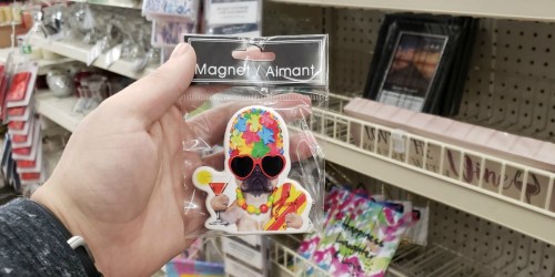 Cute Ceramic Magnets Only $1 at Dollar Tree