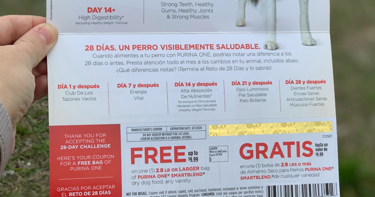 purina cat food coupons 2019