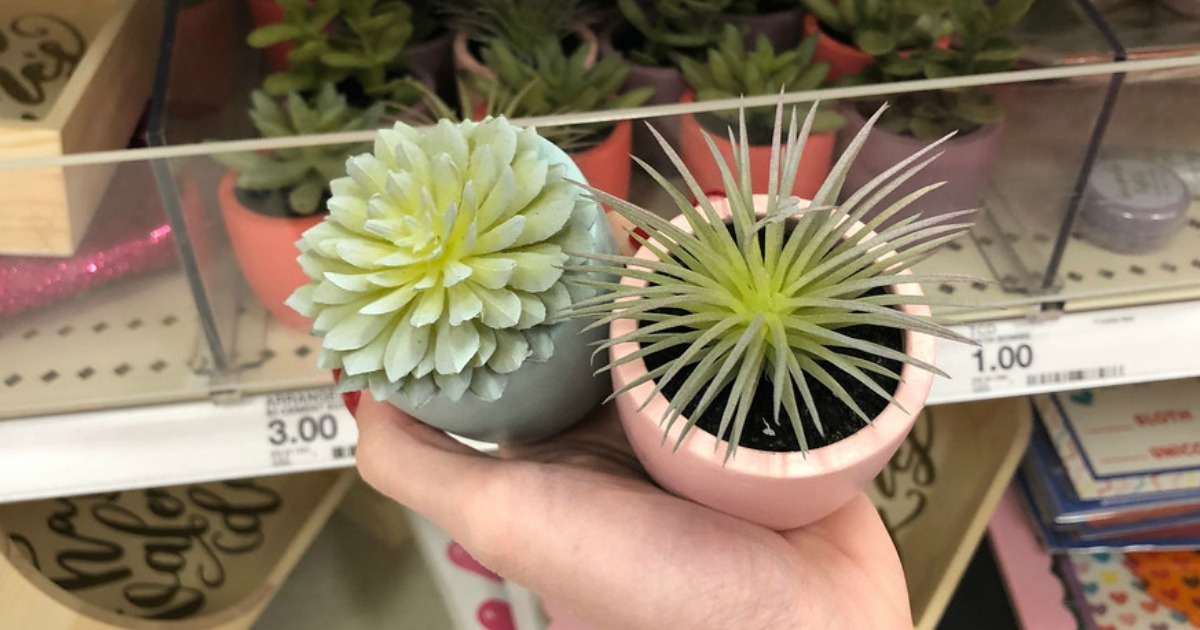Artificial Potted Succulents Only 3 at Target