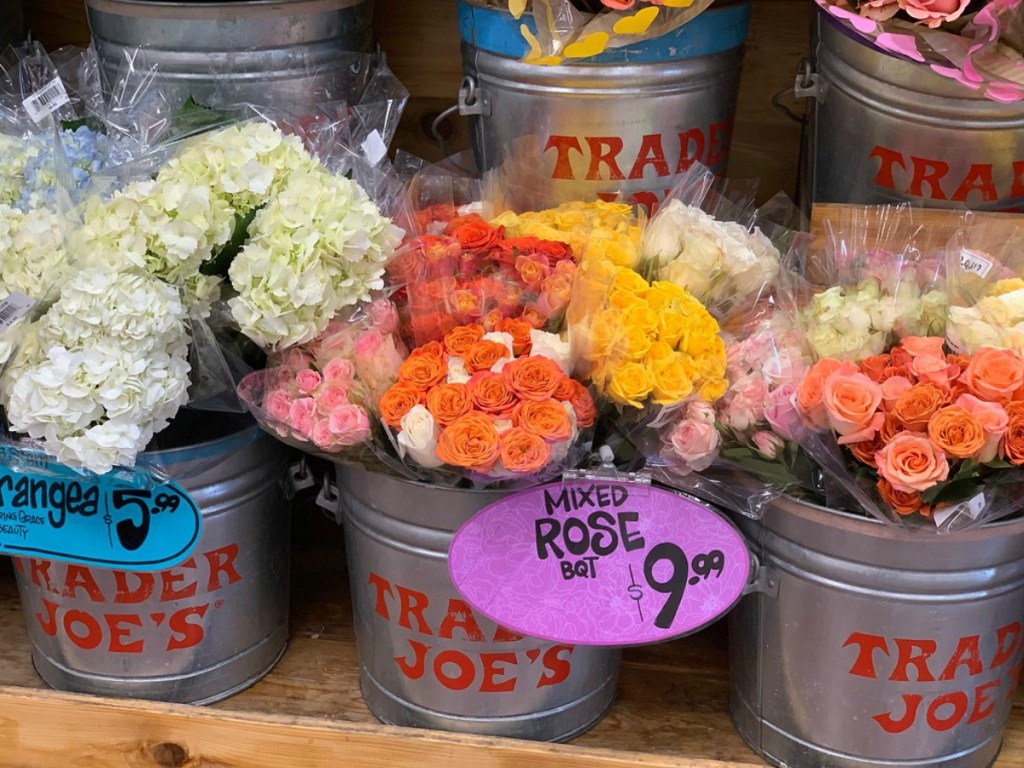 Affordable Flowers Available at Trader Joe's • Hip2Save