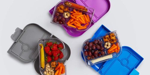 Wildkin Bento Boxes Only $9.99 on Zulily (Regularly $30)