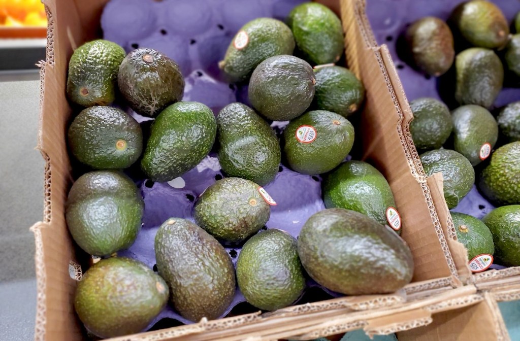 scatola piena di avocado in negozio