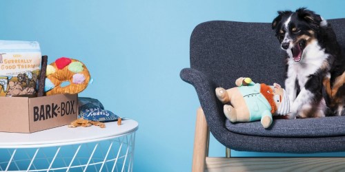 Free Extra Month of Barkbox w/ Subscription ($40 Value)