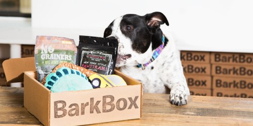 FREE Deluxe Upgrade w/ BarkBox Order (FOUR Toys, FOUR Treats & More) – $40 Value