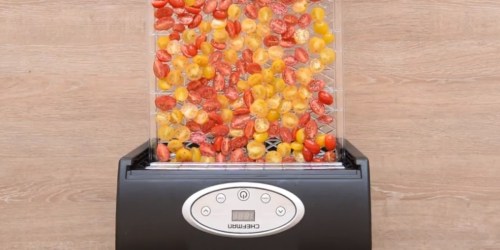 CHEFMAN 9-Tray Food Dehydrator Only $99.99 Shipped (Regularly $200)