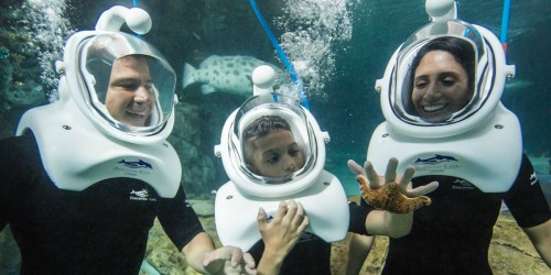 20% Off Discovery Cove + FREE SeaVenture Upgrade (Florida Residents Only)