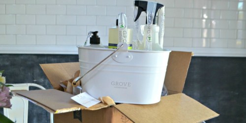 FREE Mrs. Meyer’s Cleaning Supplies Bundle w/ $20 Grove Collaborative Order ($35 Value)