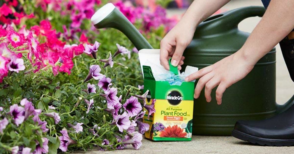 Amazon MiracleGro Plant Food Box Only 3