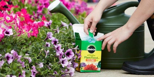 Amazon: Miracle-Gro Plant Food Box Only $3