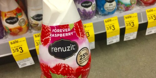 Amazon: Renuzit Gel Air Freshener 6-Pack as Low as $4.70 Shipped (Just 79¢ Each)
