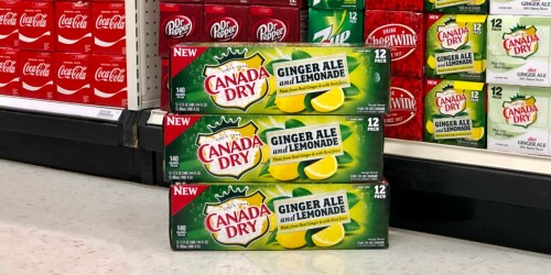 Canada Dry 12-Packs as Low as $1.75 Each After Cash Back at Target