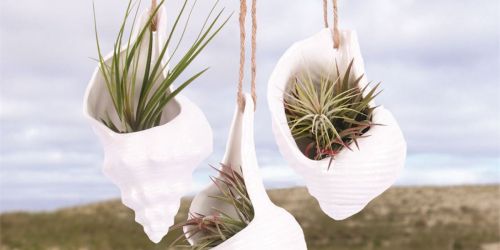 Up to 65% Off DEI Planters w/ Panache on Zulily