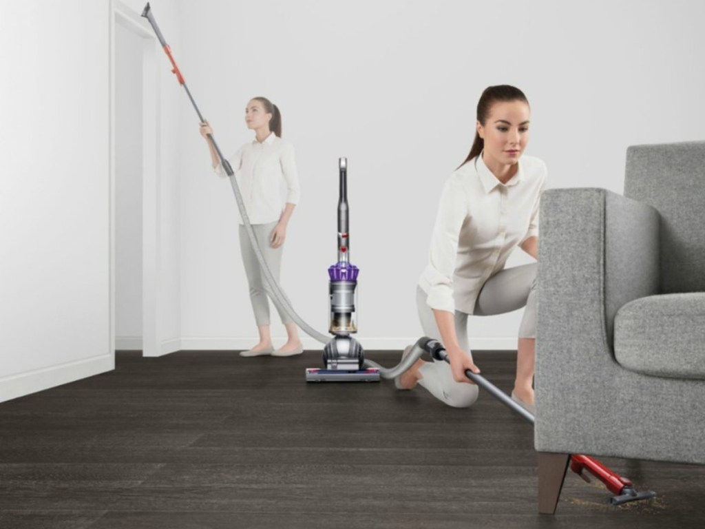 dyson slim ball animal