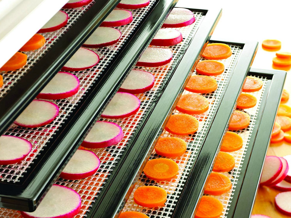 Excalibur 9 tray food dehydrator with fruit in it