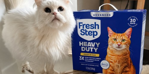 Fresh Step Cat Litter 2-Pack from $18 Shipped for Amazon Prime Members