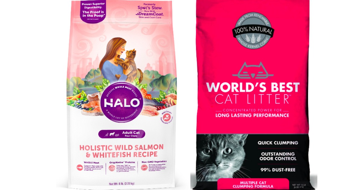 best cat litter walmart