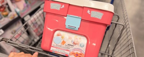 Hopscotch Lane Picnic Cooler Playset in a Walmart cart