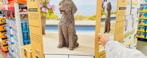 Members Mark Doodle Statue box in store