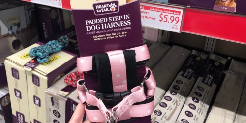 Padded Dog Harness, Pet Totes & Other Pet Finds at ALDI