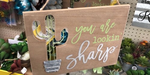 10 New Summer Items We Spotted at Big Lots (Cute Signs, Lanterns, Succulents & More)