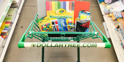 **20 Must-Grab Dollar Tree School Supplies For Back To School Shopping